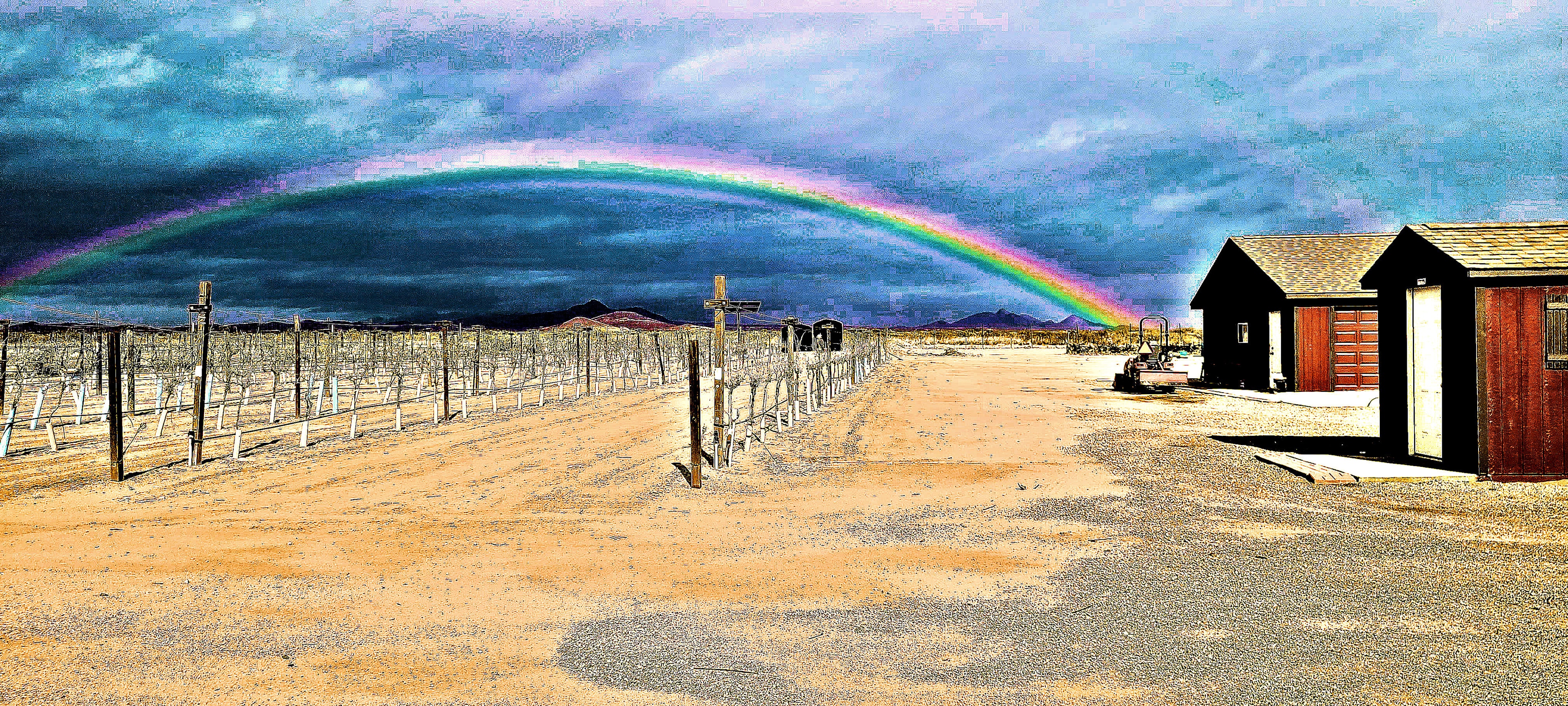 Rainbow over Hofmann Vineyards — December 31 2019