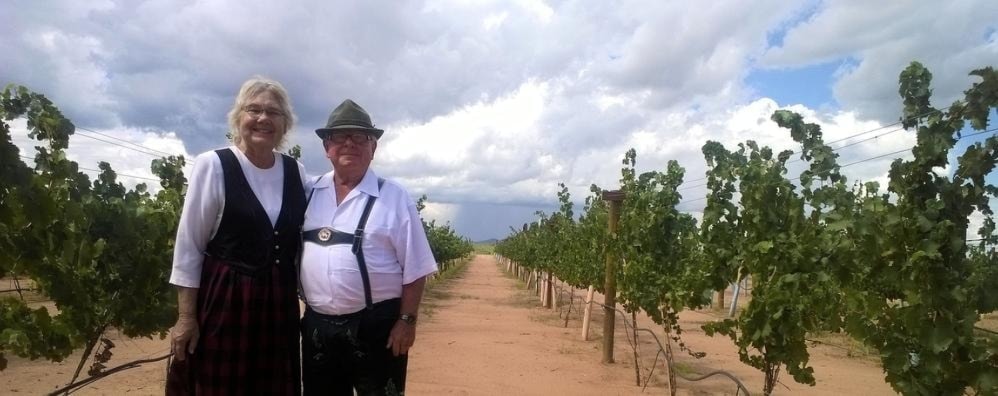 Hofmann Vineyards — vineyard rows in Cochise County, Arizona